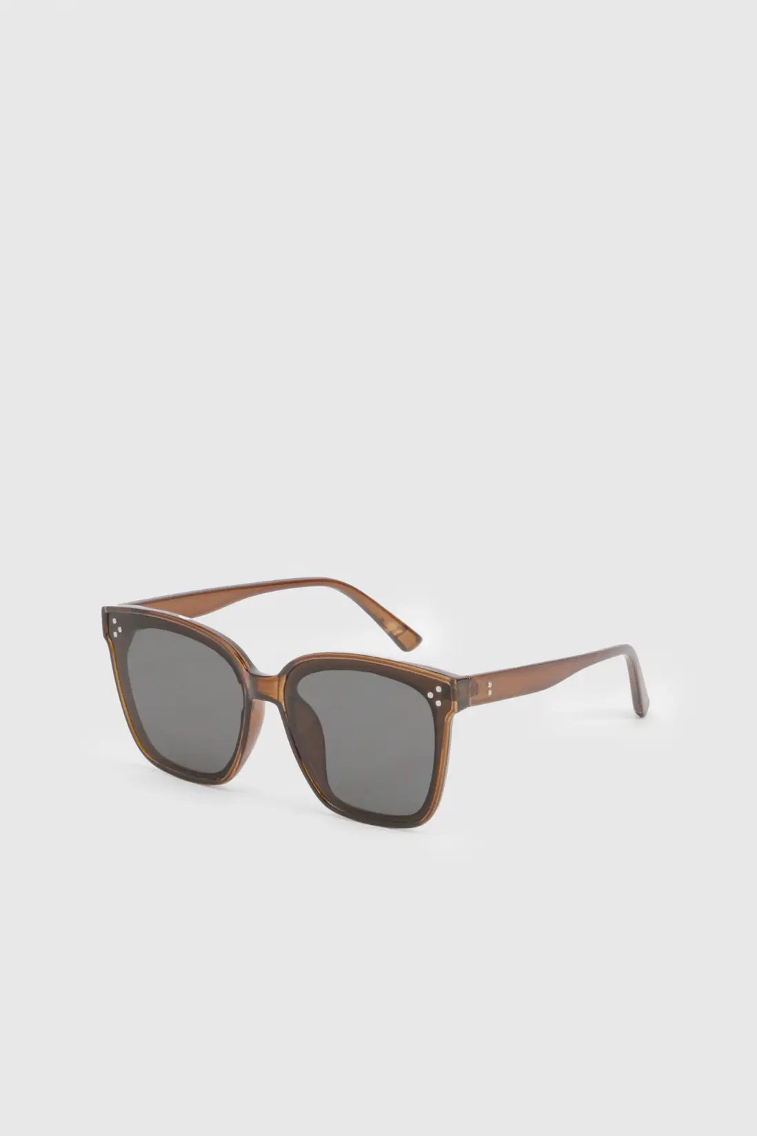 Brown Frame Oversized Retro Sunglasses